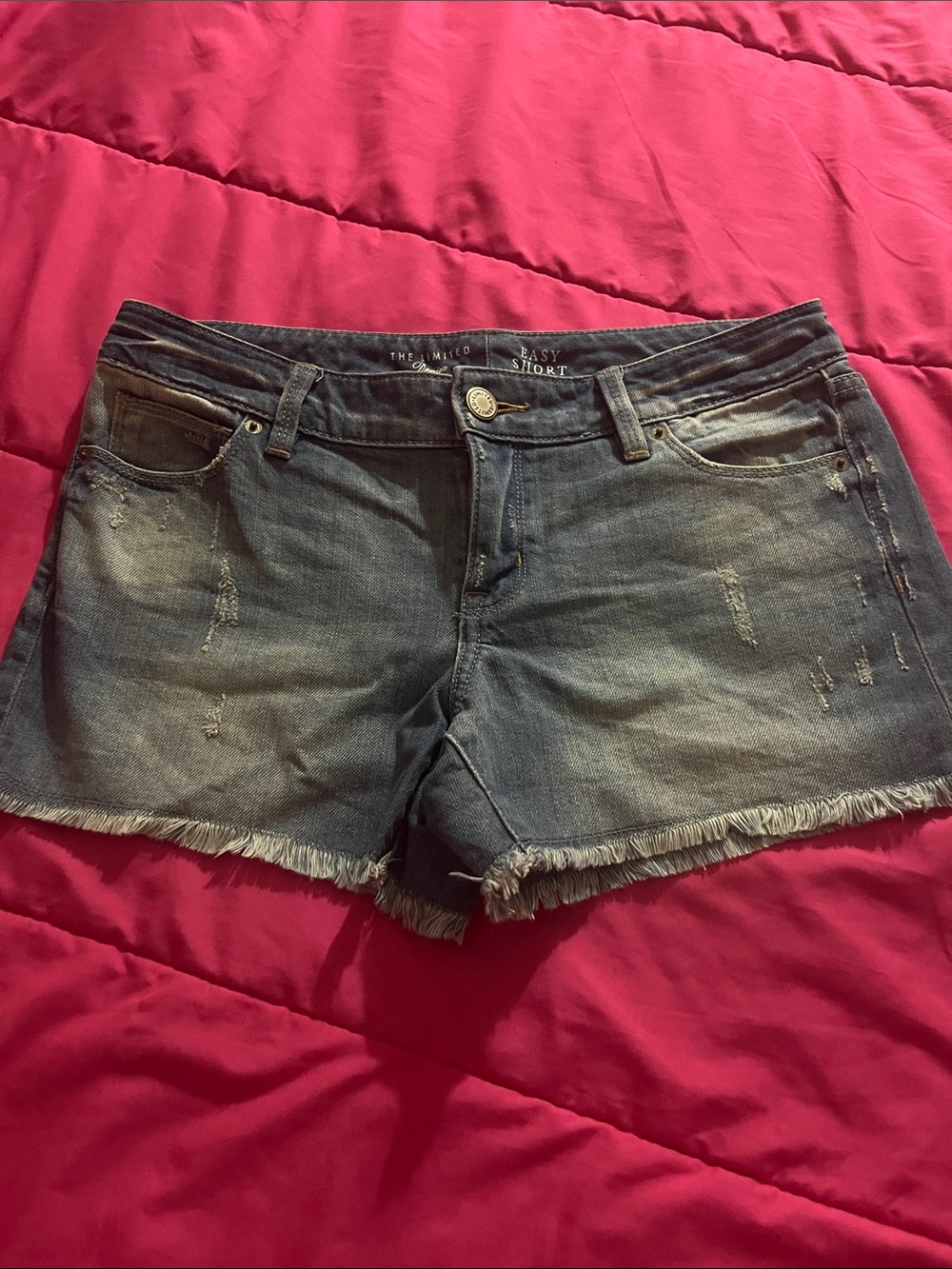 The Limited Faded Blue Frayed Hem Denim Shorts